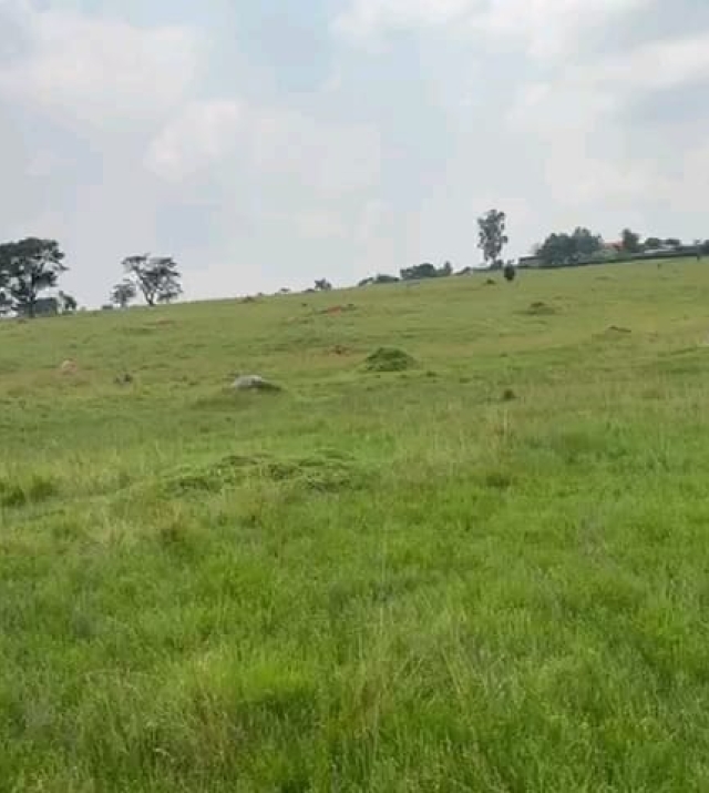 WhatsApp Image 2024-06-25 at 1.32.41 PM.jpeg